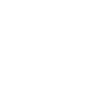 White Wheel Icon